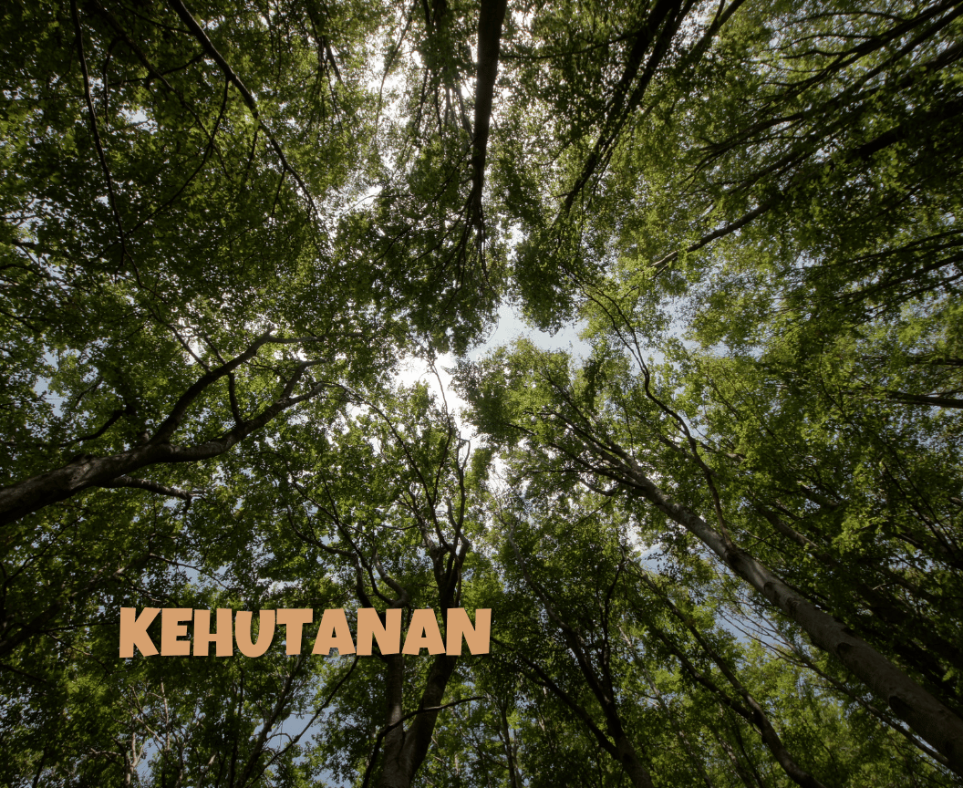 Potensi Hutan Gorontalo: Kawasan Sumber Daya Alam dan Pengelolaan Kawasan untuk Keberlanjutan
